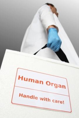 Elections et sensibilisation au don d'organes