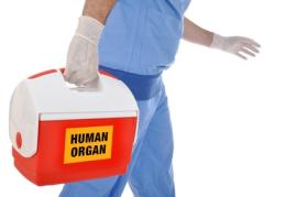Royaume-Uni : un bébé devient donneur d’organes quelques heures après sa naissance