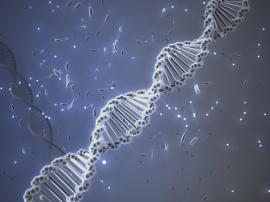 Autisme et génétique : découvertes de chercheurs anversois