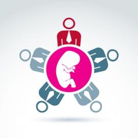 France : vote de la proposition de loi autorisant la recherche sur l’embryon humain