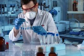 Leuven: production de cellules souches adultes issues de tissus graisseux
