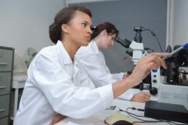De ontwikkeling van menselijke embryo's in laboratorium na 14 dagen?