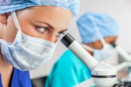 De internationale vereniging voor stamcelonderzoek (ISSCR) pleit voor afschaffing van de 14-dagenlimiet voor onderzoek op menselijke embryo's