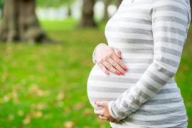 De foetus zou al vanaf de 13de week zwangerschap pijn kunnen voelen