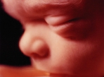 Avortement : 28 ans d’application de la loi en Belgique