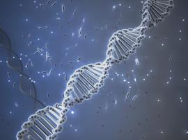 Séquençage du génome complet : la Belgique avance