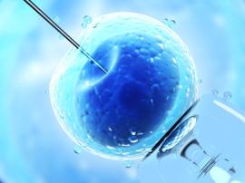Recherche sur Embryons: rapport de la Commission d'évaluation