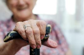 Baisse inédite du nombre d'euthanasies déclarées en Belgique en 2020 : quel lien avec le COVID ?