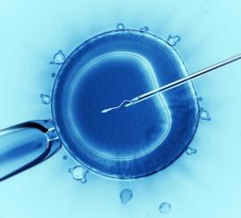 Europe : recours accru à la FIV malgré une fertilité stable.