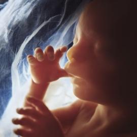 Extension de l'avortement à 4 mois et demi : l’adoption de la proposition de loi s’éloigne à nouveau