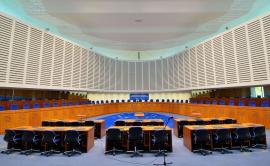 Wat oordeelt het Europees Hof voor de Rechten van de Mens over medisch begeleide voortplanting?