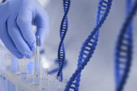 Naissance d’un bébé à trois ADN au Royaume-Uni : traitement ou expérimentation ?